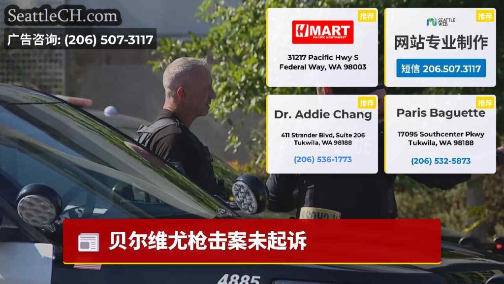 贝尔维尤枪击案未起诉