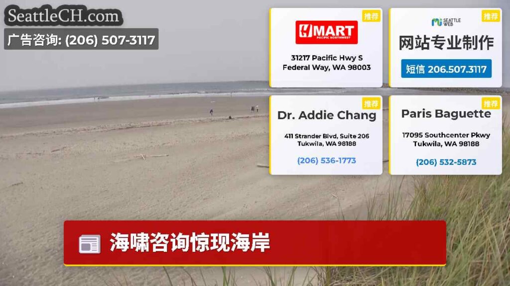 海啸咨询惊现海岸