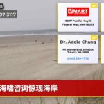 海啸咨询惊现海岸