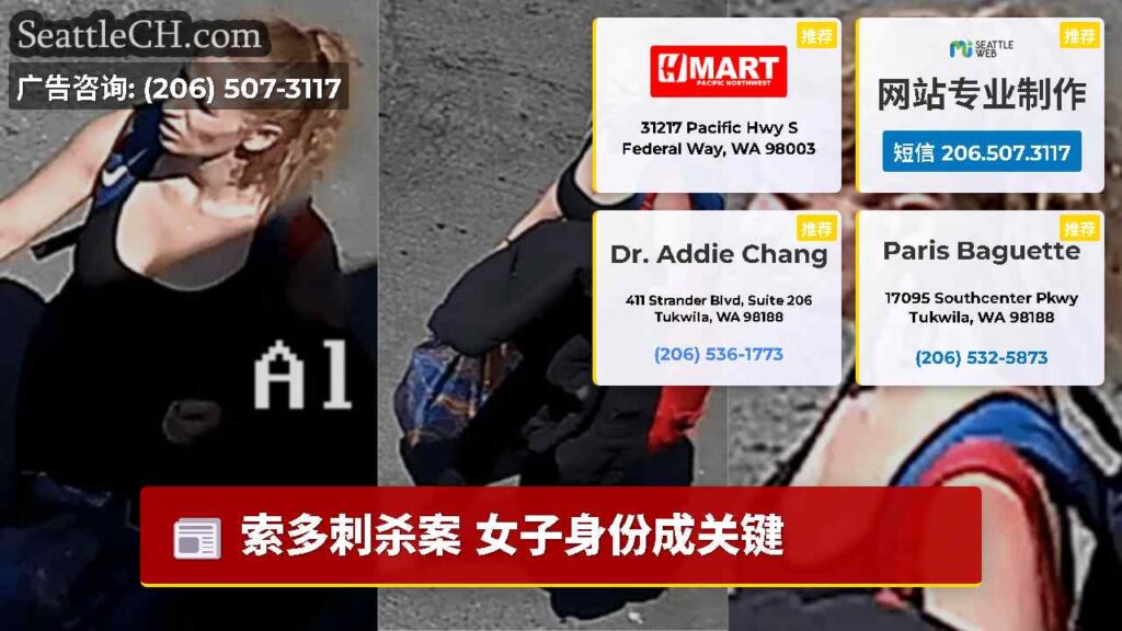 索多刺杀案 女子身份成关键