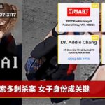 索多刺杀案 女子身份成关键