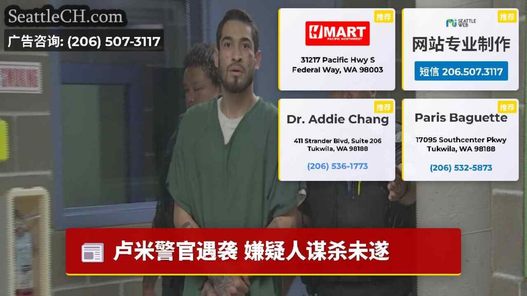 卢米警官遇袭 嫌疑人谋杀未遂