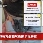 海军噪音猫咪遇害 诉讼开案