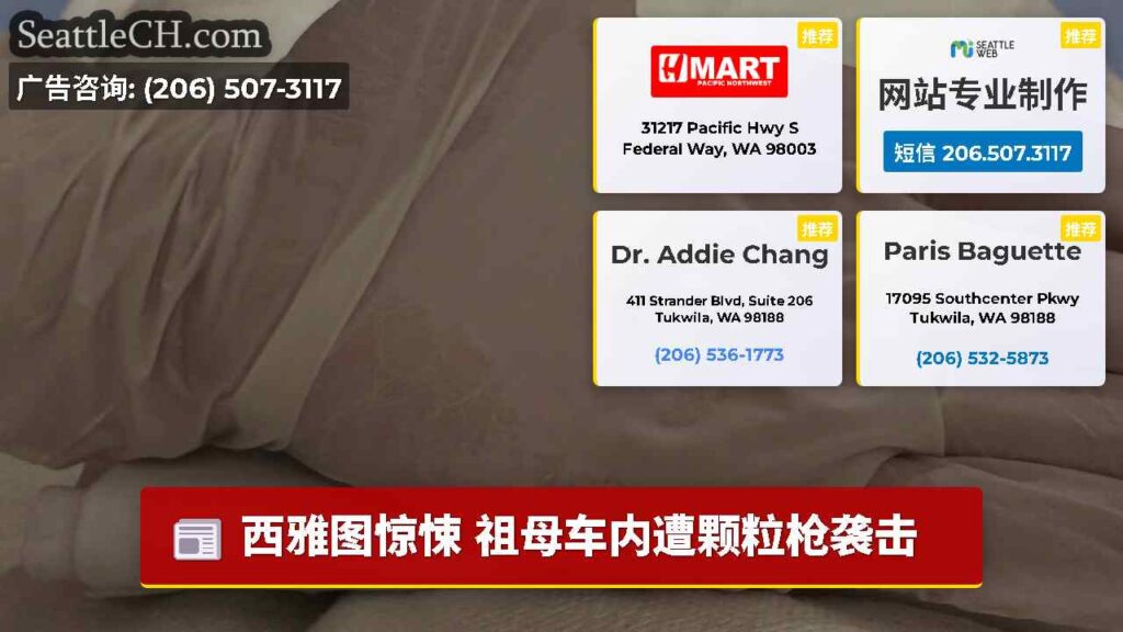 西雅图惊悚 祖母车内遭颗粒枪袭击