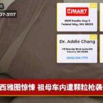 西雅图惊悚 祖母车内遭颗粒枪袭击