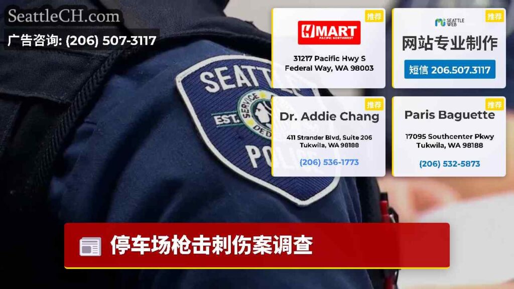 停车场枪击刺伤案调查