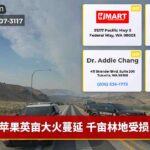 苹果英亩大火蔓延 千亩林地受损