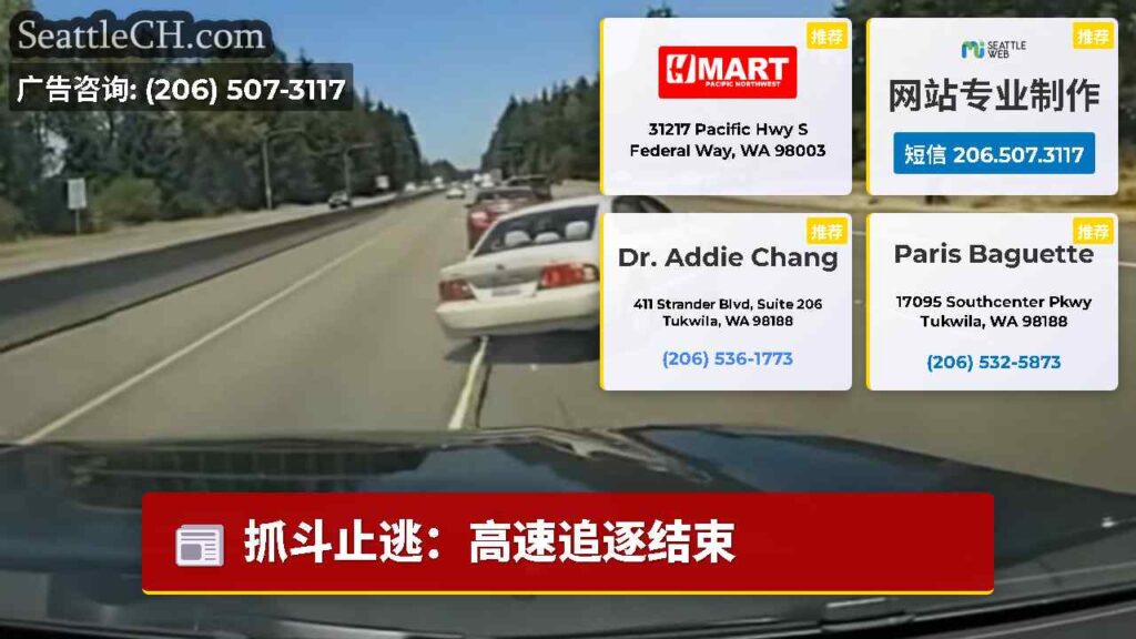 抓斗止逃：高速追逐结束