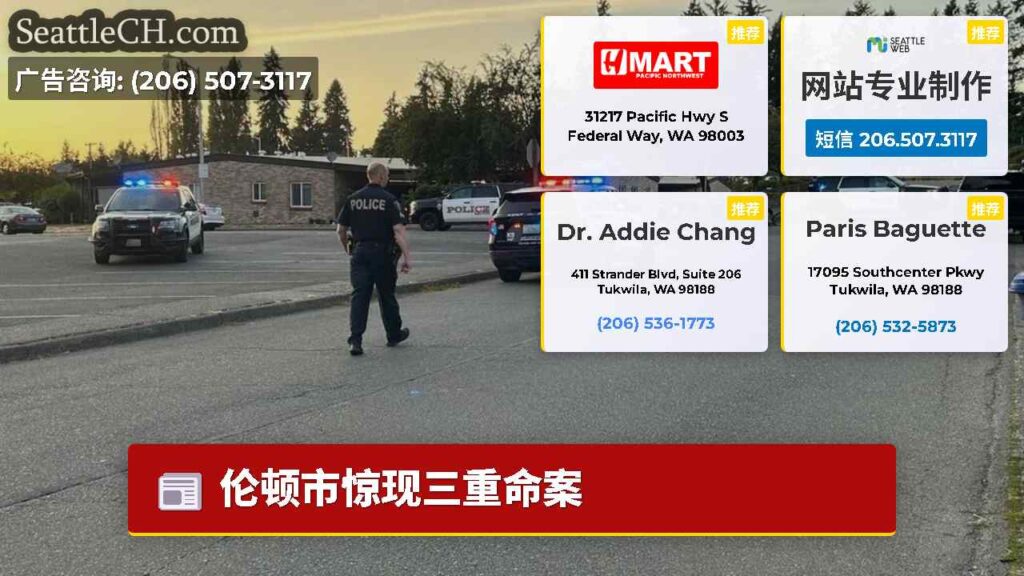 伦顿市惊现三重命案
