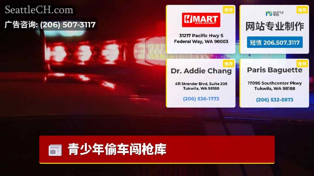 青少年偷车闯枪库