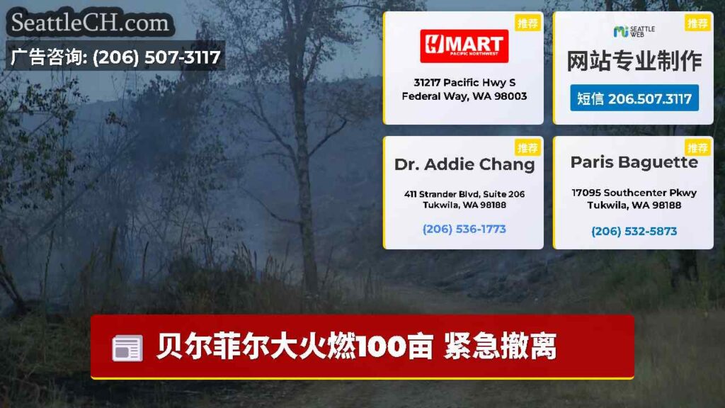贝尔菲尔大火燃100亩 紧急撤离