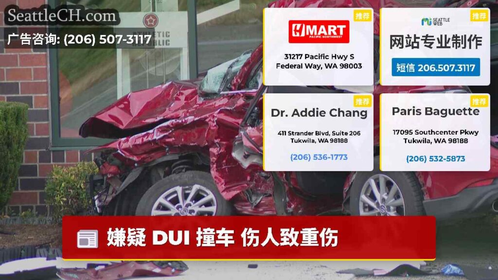嫌疑 DUI 撞车 伤人致重伤