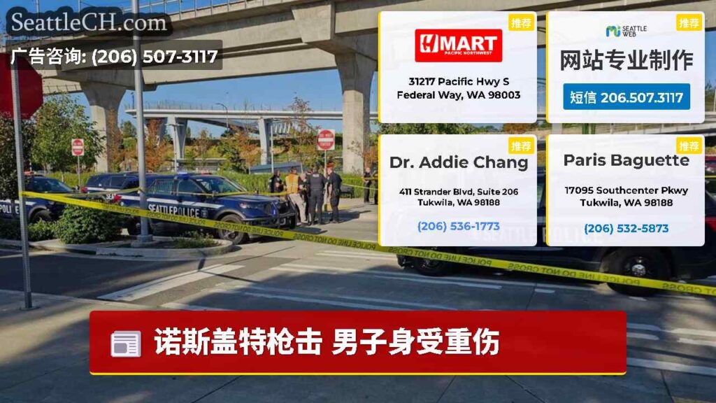 诺斯盖特枪击 男子身受重伤