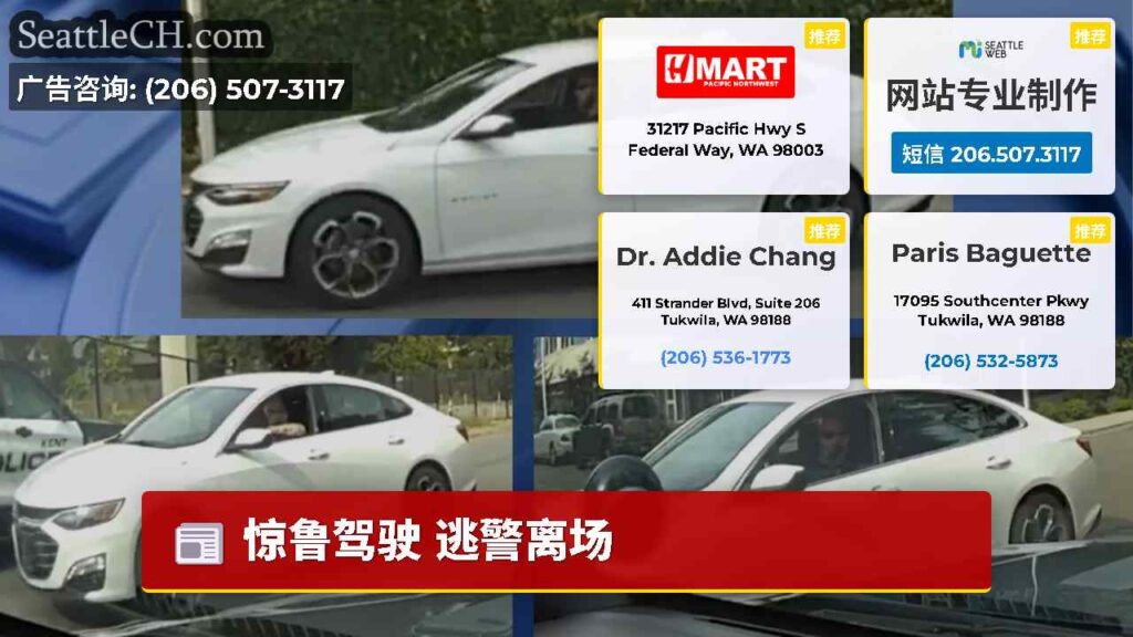 惊鲁驾驶 逃警离场