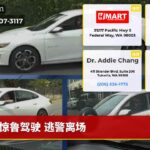 惊鲁驾驶 逃警离场