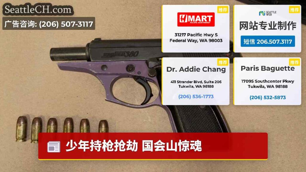 少年持枪抢劫 国会山惊魂