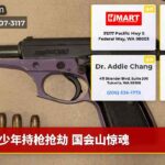 少年持枪抢劫 国会山惊魂