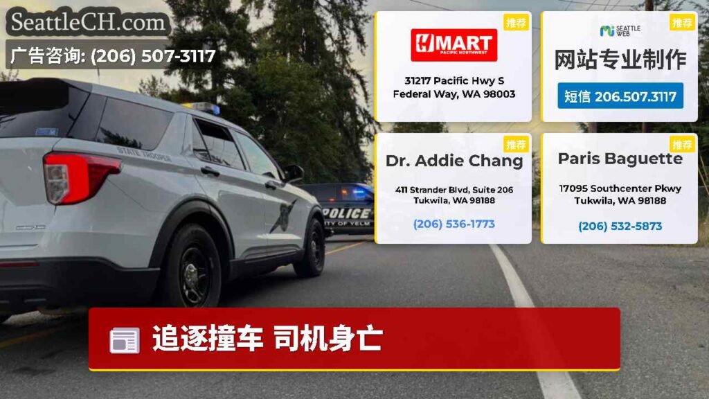 追逐撞车 司机身亡