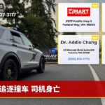 追逐撞车 司机身亡