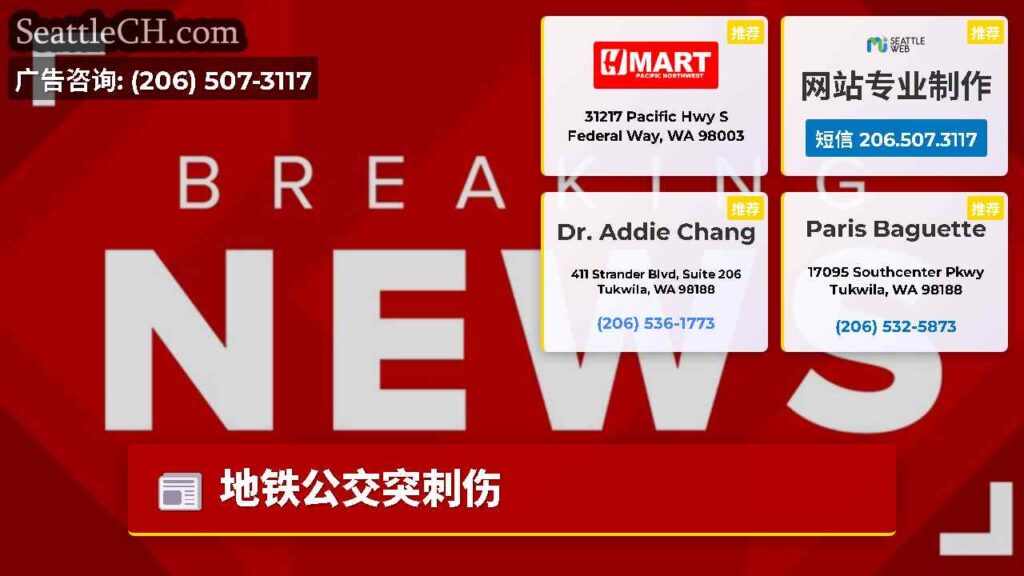 地铁公交突刺伤