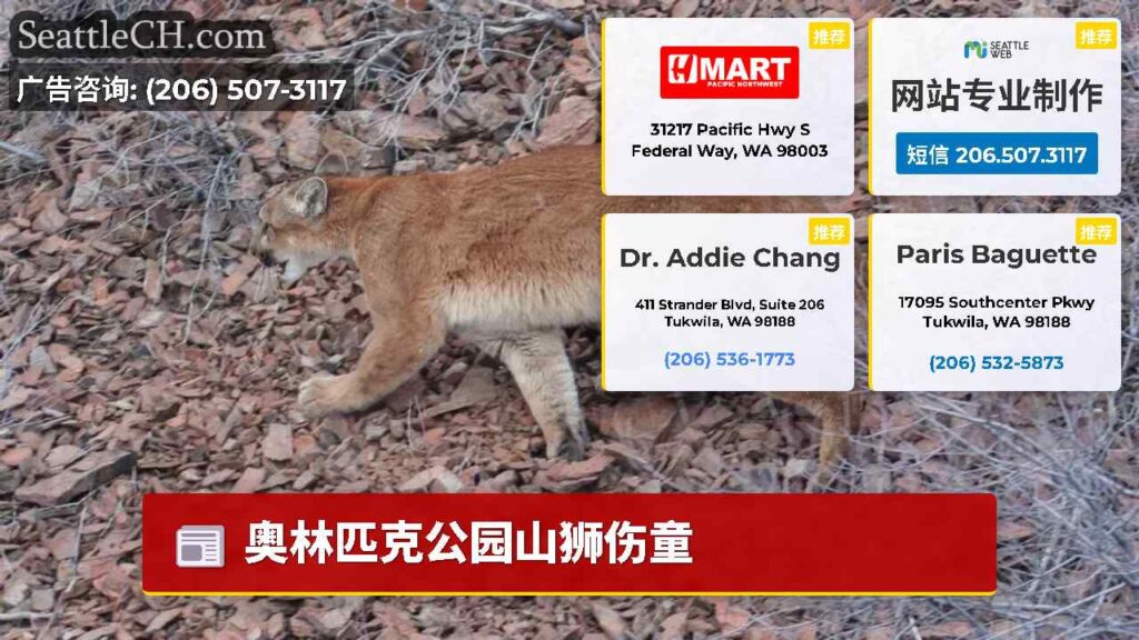 奥林匹克公园山狮伤童
