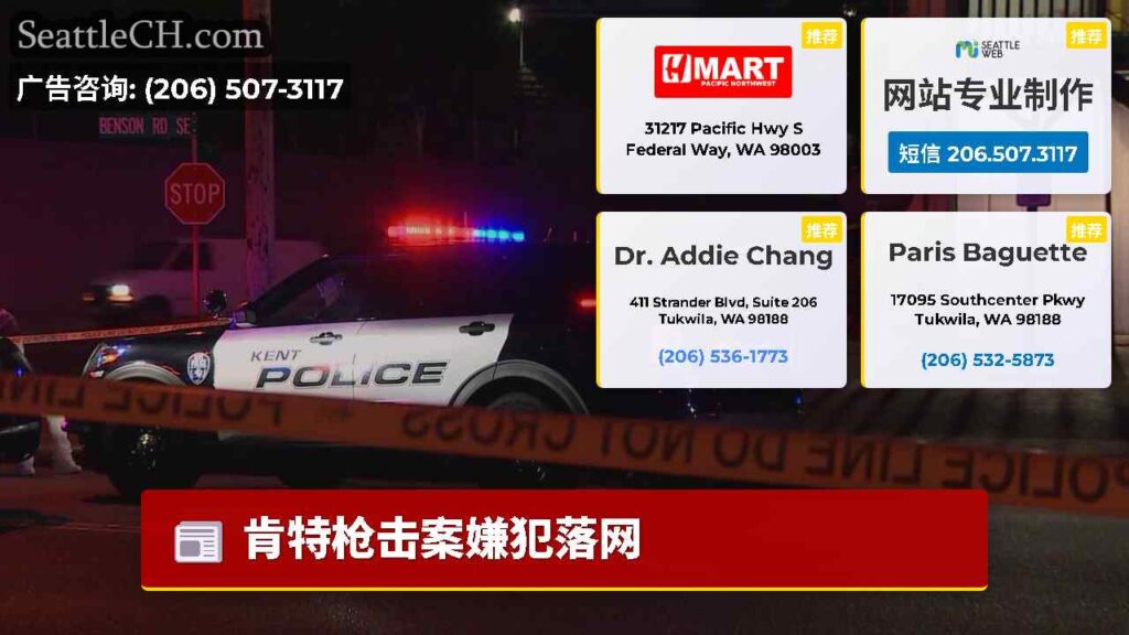 肯特枪击案嫌犯落网