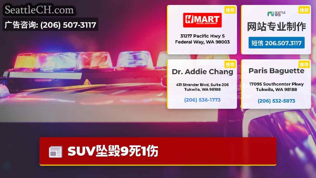 SUV坠毁9死1伤