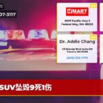 SUV坠毁9死1伤