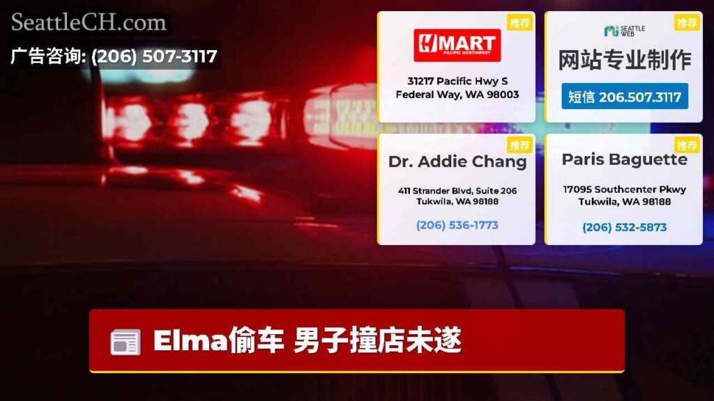 Elma偷车 男子撞店未遂