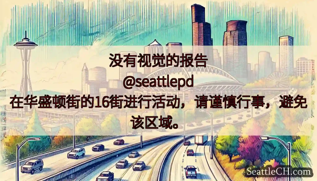 没有视觉的报告