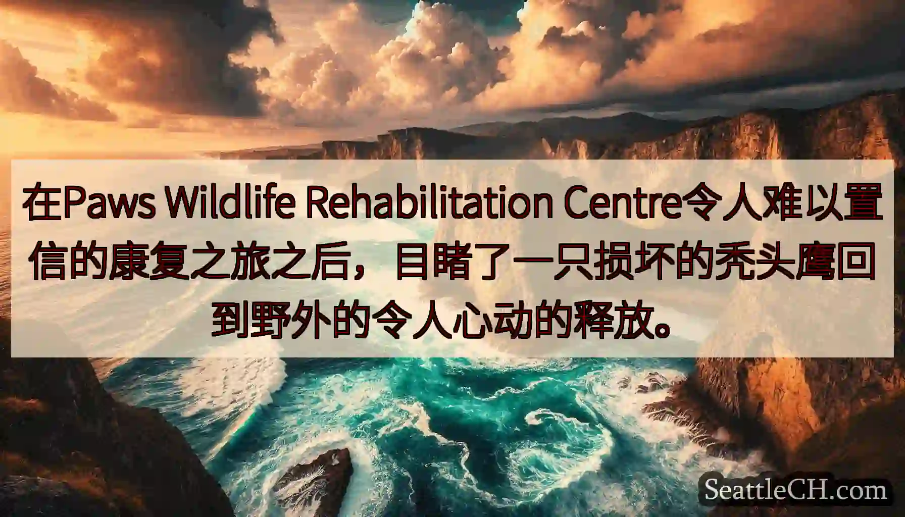 在Paws Wildlife Rehabilitation