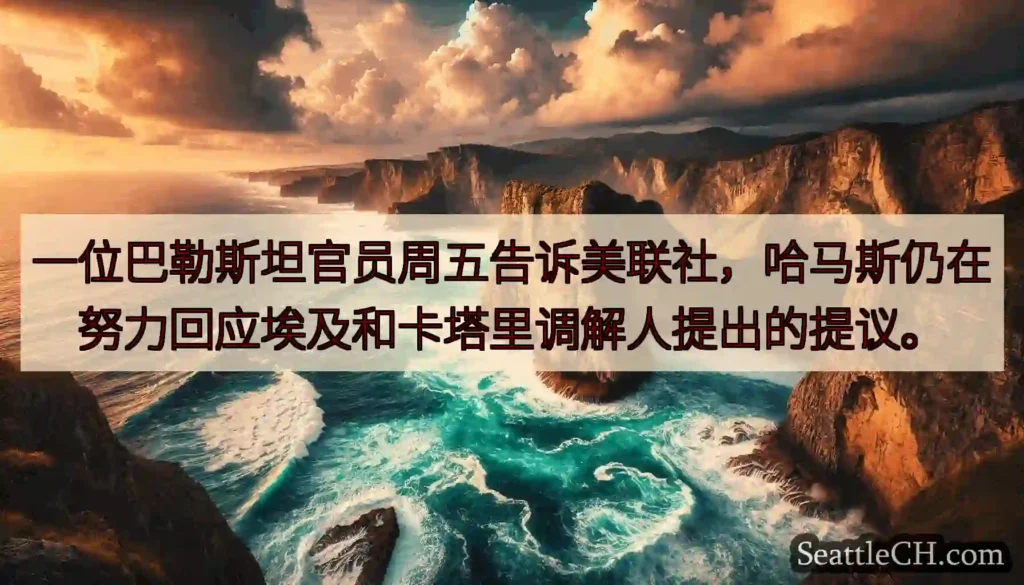 一位巴勒斯坦官员周五告诉美联社，哈马斯仍在努力回应埃及和卡塔里调解人提出的提议。