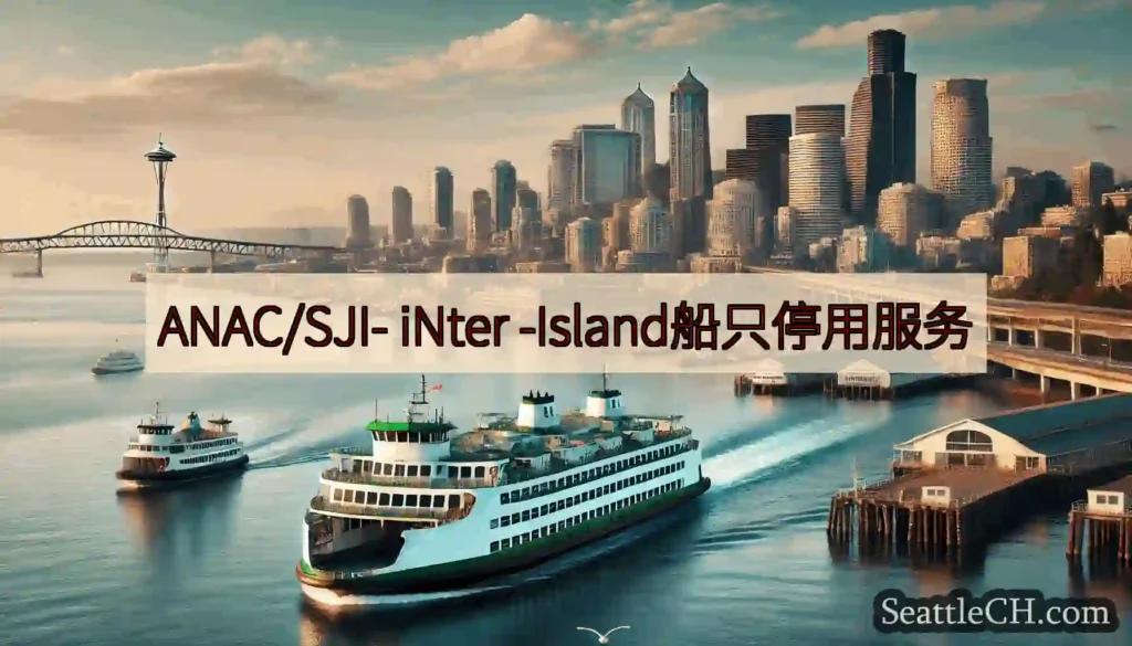 ANAC/SJI- iNter -Island船只停用服务
