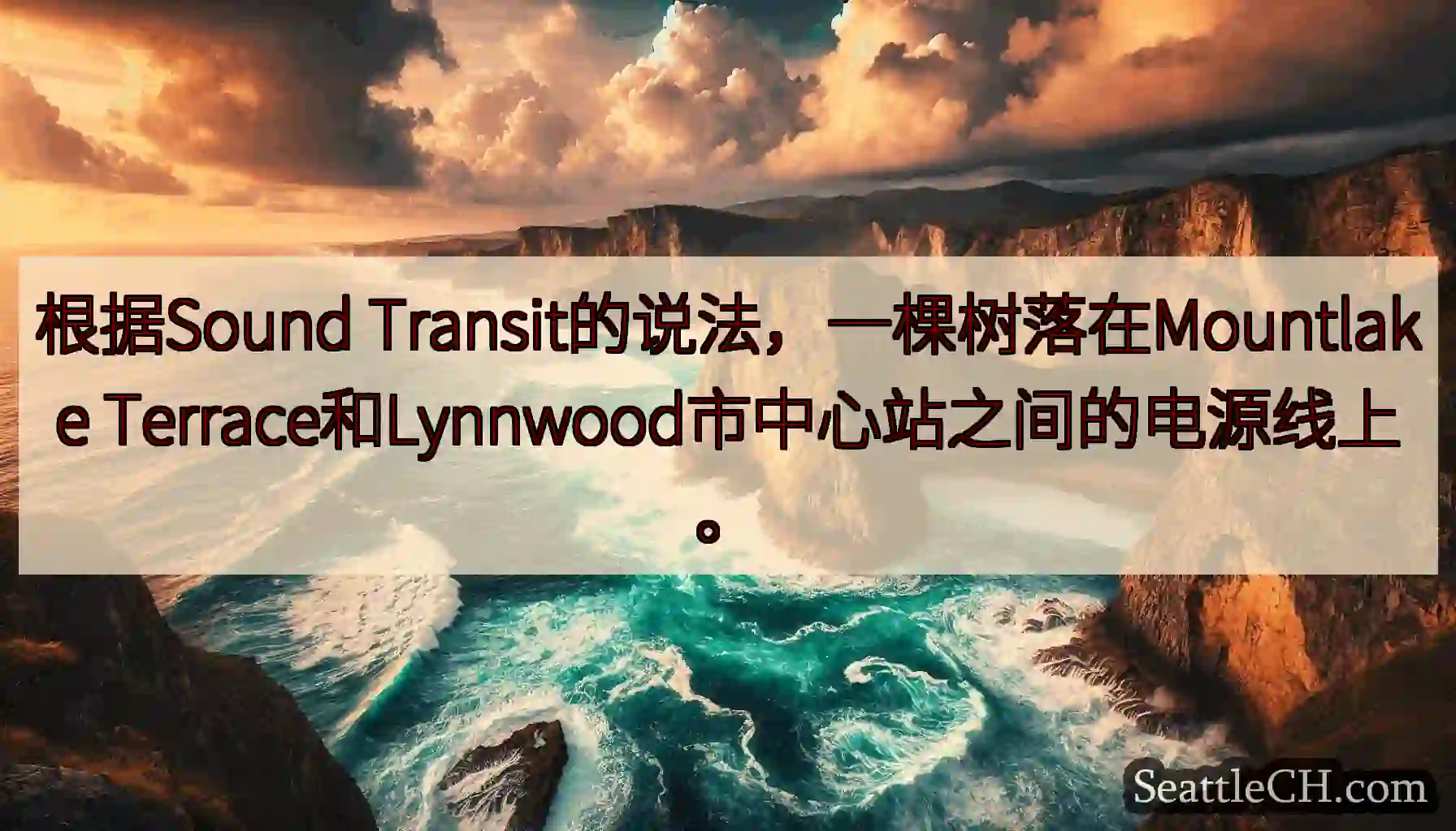 根据Sound Transit的说法，一棵树落在Mountlake