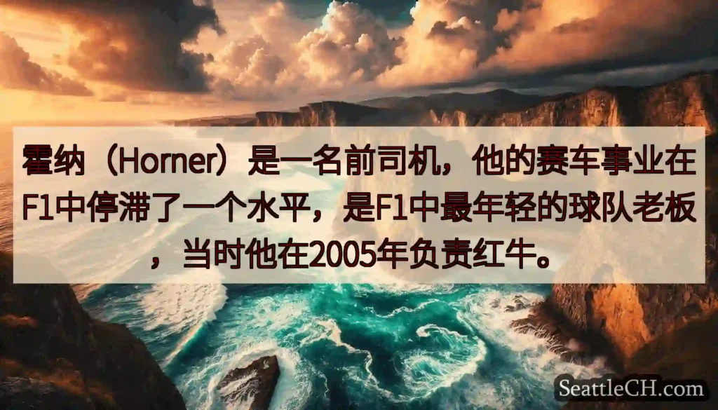 霍纳（Horner）是一名前司机，他的赛车事业在F1中停滞了一个水平，是F1中最年轻的球队老板，当时