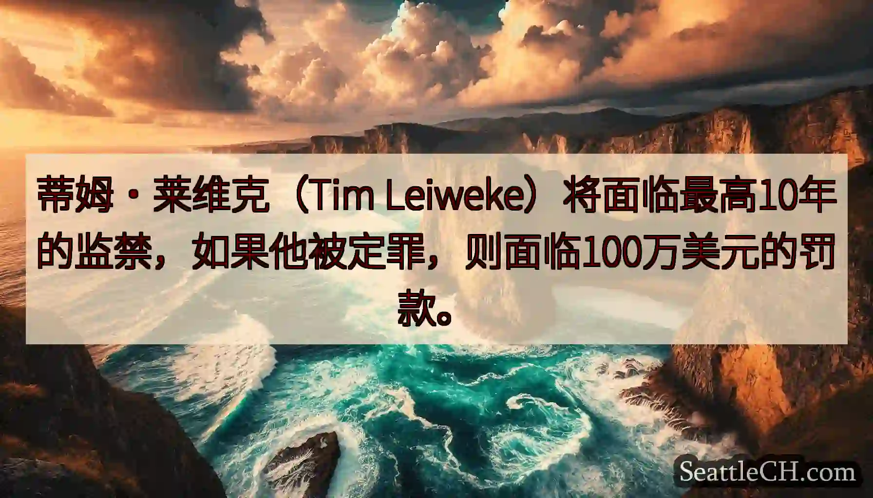 蒂姆·莱维克（Tim