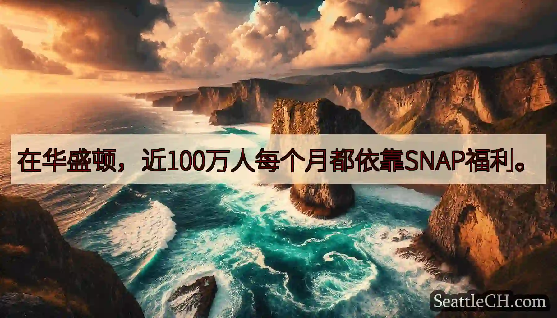 在华盛顿，近100万人每个月都依靠SNAP福利。