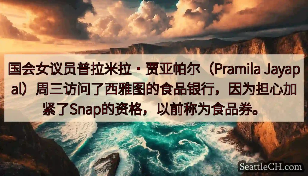 国会女议员普拉米拉·贾亚帕尔（Pramila