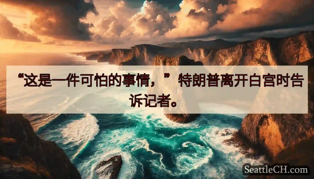 “这是一件可怕的事情，”特朗普离开白宫时告诉记者。