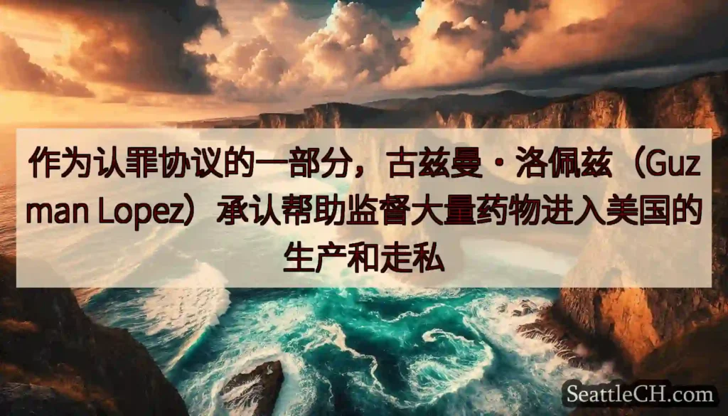 作为认罪协议的一部分，古兹曼·洛佩兹（Guzman
