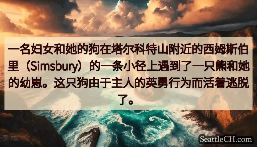 一名妇女和她的狗在塔尔科特山附近的西姆斯伯里（Simsbury）的一条小径上遇到了一只熊和她的幼崽。