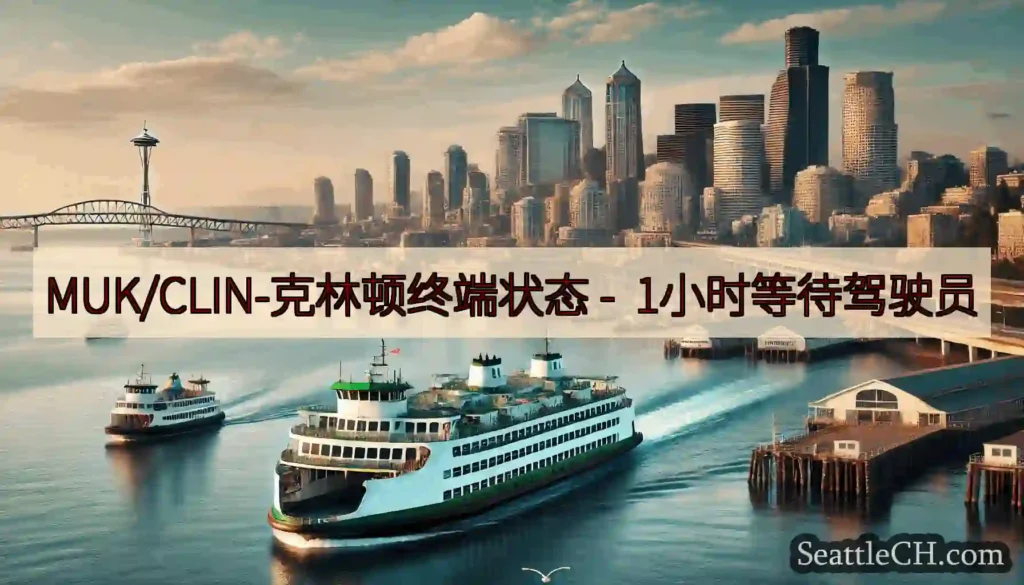 MUK/CLIN-克林顿终端状态 -