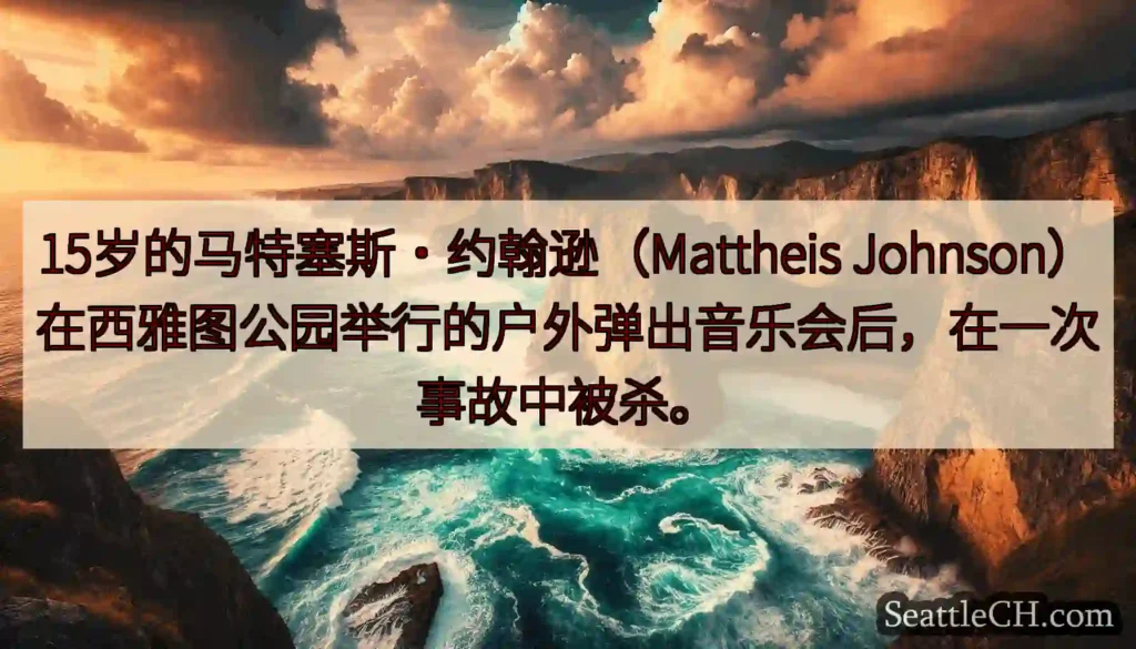 15岁的马特塞斯·约翰逊（Mattheis