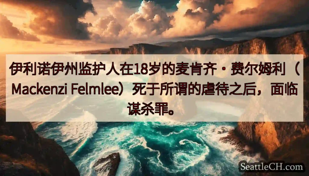 伊利诺伊州监护人在18岁的麦肯齐·费尔姆利（Mackenzi
