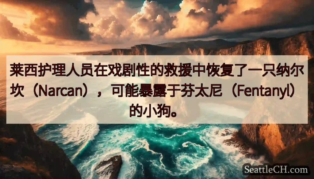 莱西护理人员在戏剧性的救援中恢复了一只纳尔坎（Narcan），可能暴露于芬太尼（Fentanyl）的