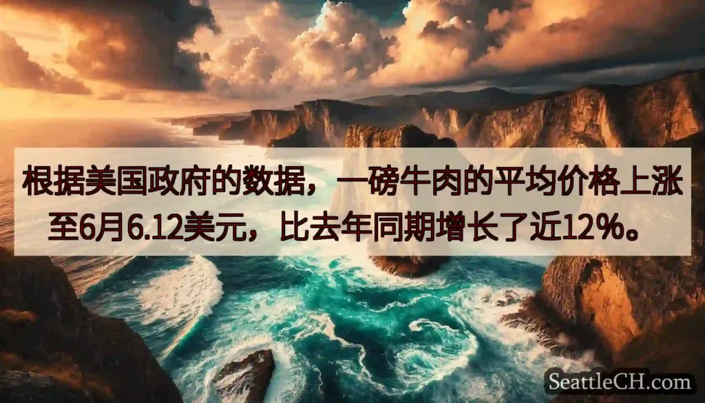 根据美国政府的数据，一磅牛肉的平均价格上涨至6月6.12美元，比去年同期增长了近12％。