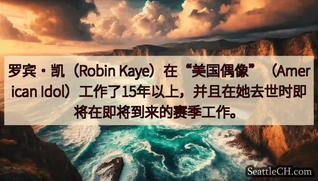 罗宾·凯（Robin Kaye）在“美国偶像”（American