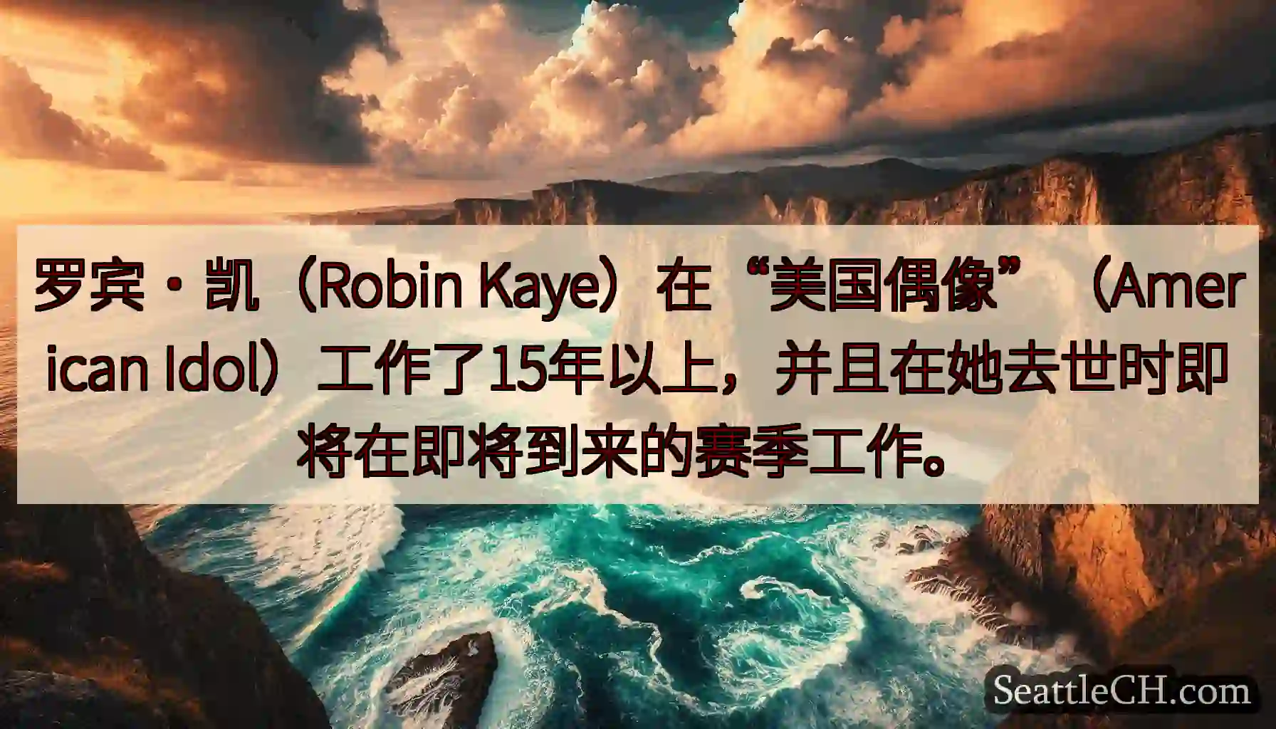 罗宾·凯（Robin Kaye）在“美国偶像”（American