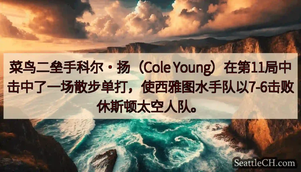 菜鸟二垒手科尔·扬（Cole