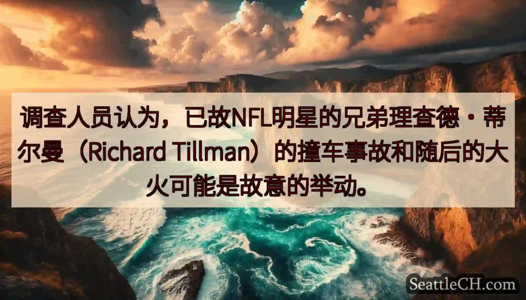调查人员认为，已故NFL明星的兄弟理查德·蒂尔曼（Richard